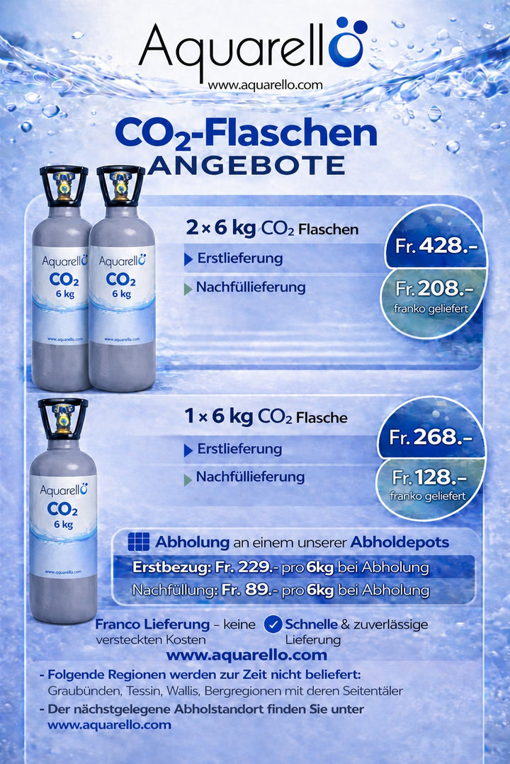 CO₂-Gasflasche 6 kg – Schweizer Kohlensäure